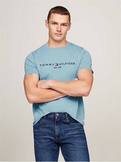 tommy logo tee TOMMY HILFIGER | MW0MW11797CYW